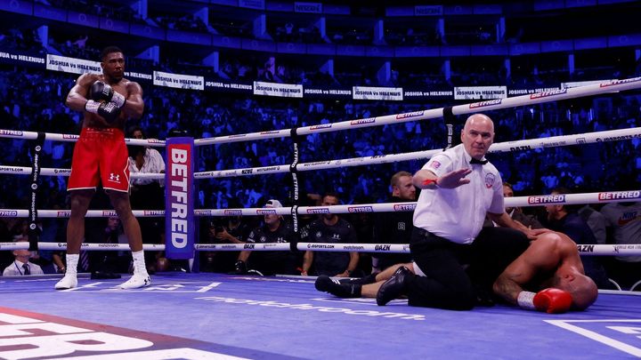 Joshua zasadil knockout finskému veteránovi. McGregor se neodmítl podívat na tento úžasný zážitek.