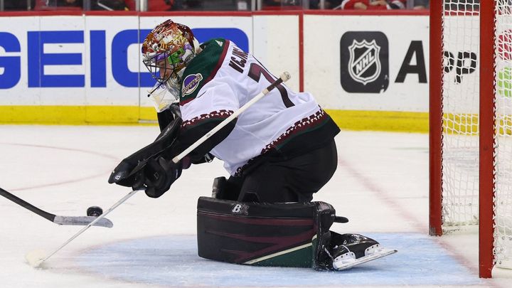 Vejmelka a Vladař zastavili přes třicet střel v NHL, ale nedokázali zabránit porážce.