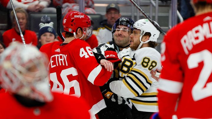 Pastrňák dosáhl 50 bodů v průběhu sezony. Zacha, Hertl a Kubalík se střelecky prosadili na Silvestra.