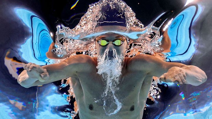 Fotografie roku: Strašidelný tvor v bazénu, šestinohý kůň a výměna trenek ve sportu.