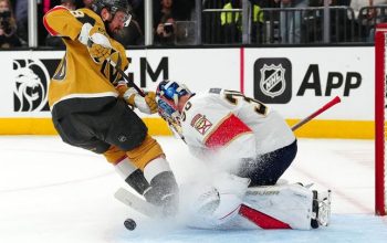 Tomas Hertl zajistil vítězství Vegas, českým brankářům se nedaří v NHL