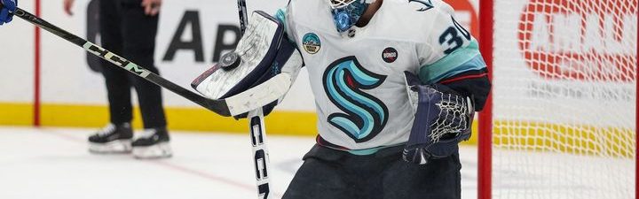 Havířovský hokejista překonal rekord a dostal se do NHL navzdory úvahám o konci kariéry