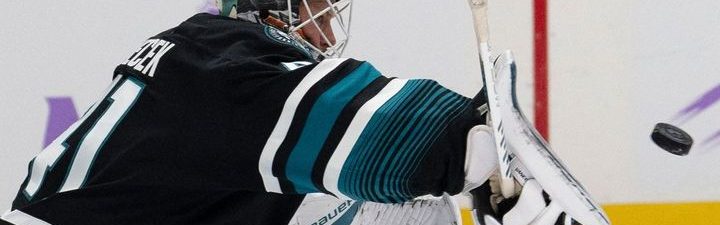 Český brankář Vaněček přestupuje z týmu San Jose do týmu na Floridě v NHL.